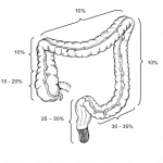 fig1-6