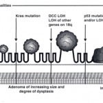 fig1-8