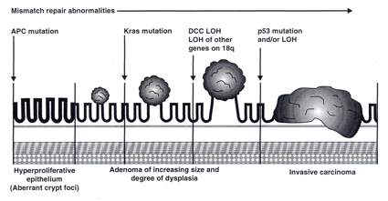 fig1-8
